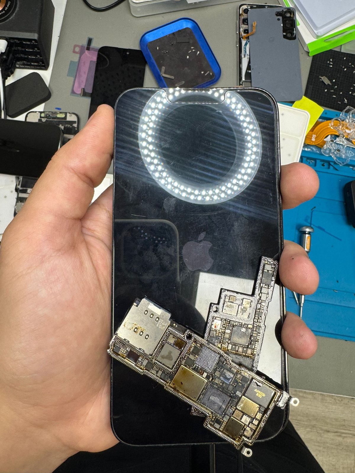 Geöffnete, zweiteilige Hauptplatine eines iPhone 15 Pro auf dem Gerät liegend, Werkbank von SmartDoc Erfurt im Hintergrund